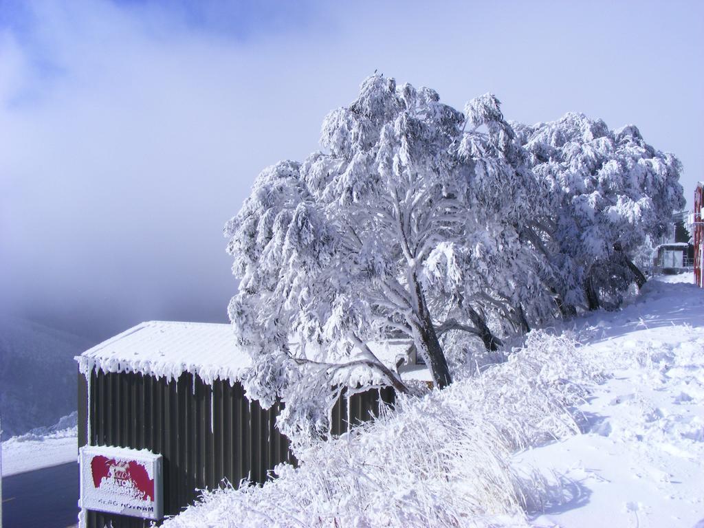 Arlberg Hotham Villa Mount Hotham Eksteriør billede